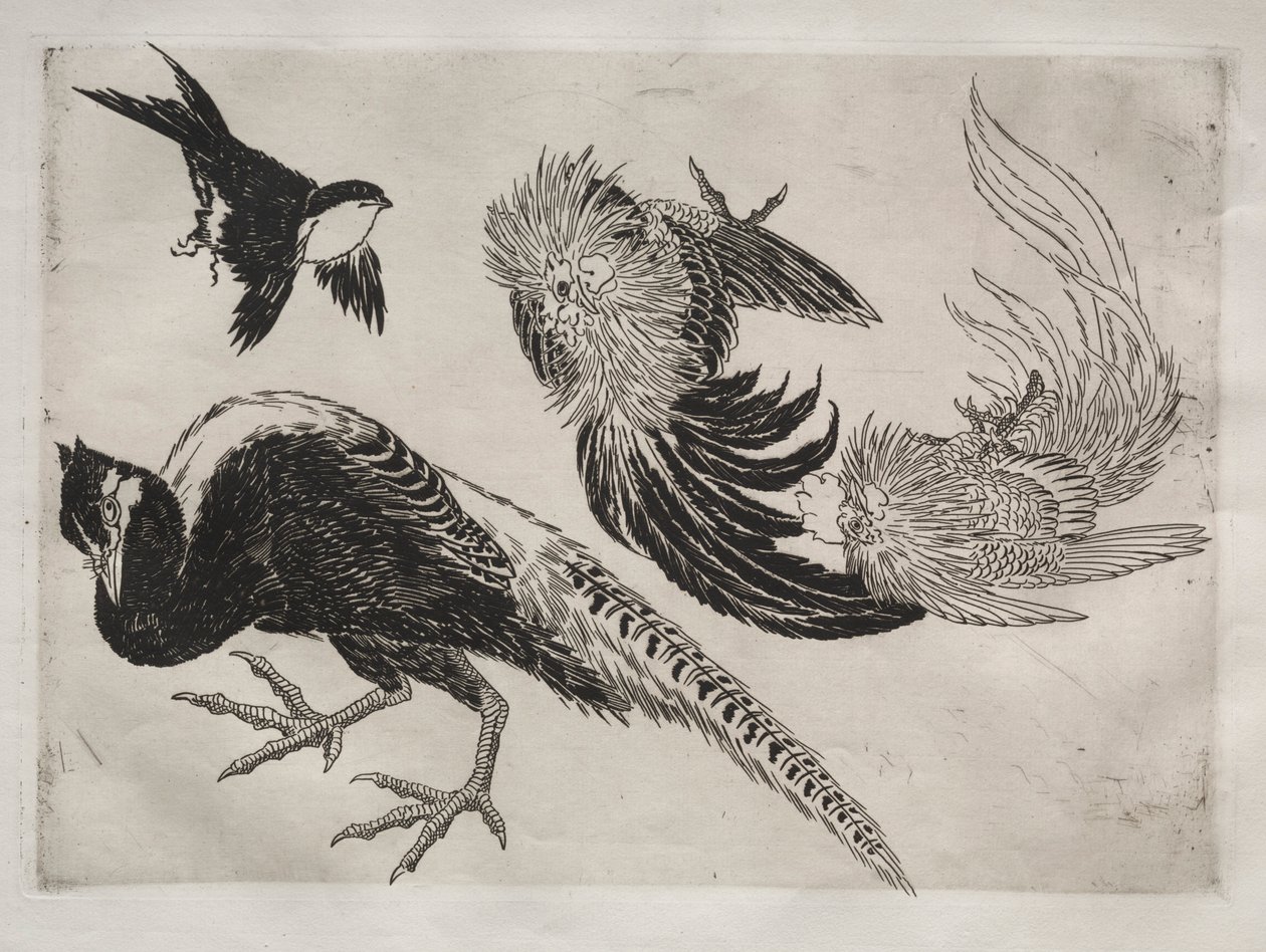Dinner Service Rousseau Service: Pheasants and Bird No. 18 by Felix Bracquemond