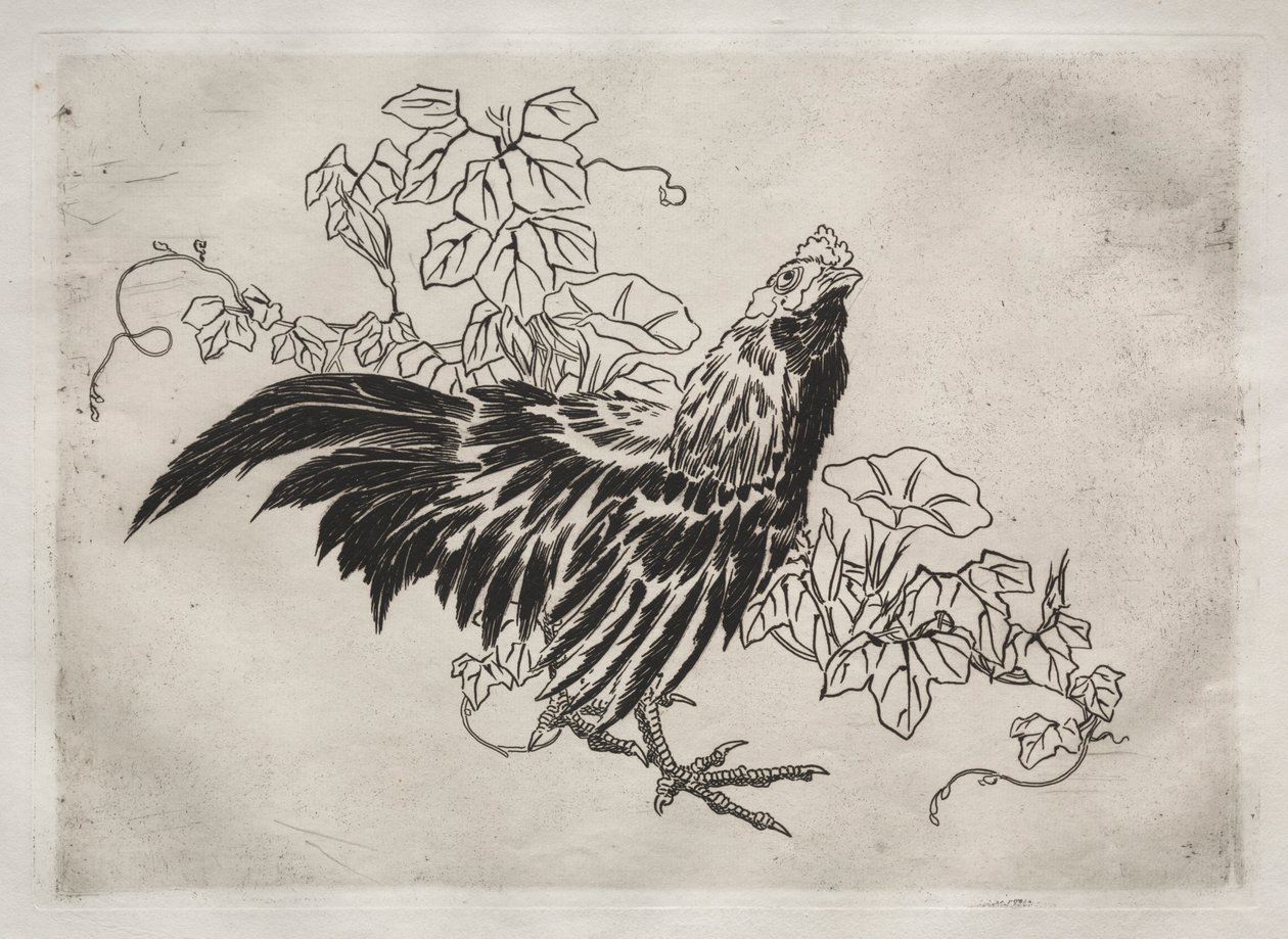Dinner Service Rousseau Service: Rooster and Morning Glories No. 25, 1866 by Felix Bracquemond