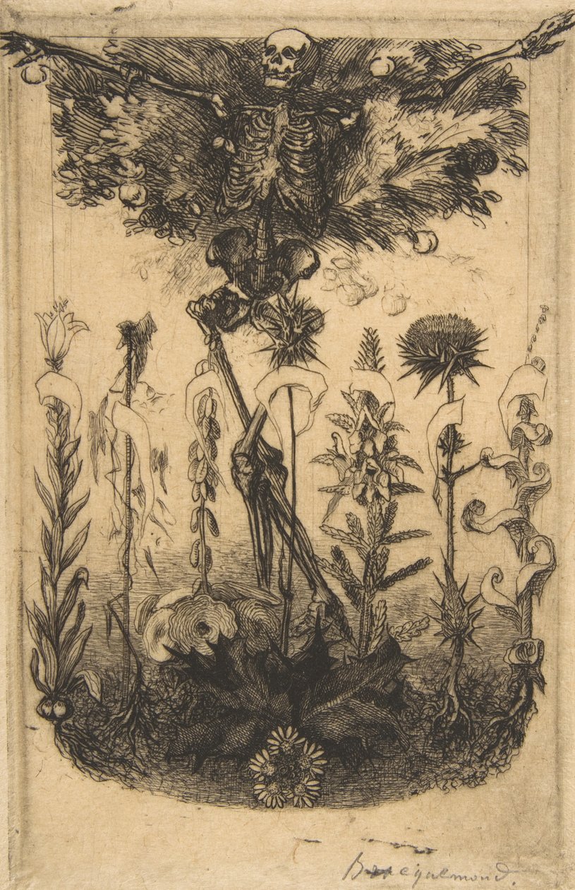 Frontispiece for Les Fleurs du Mal, 1857 by Felix Bracquemond