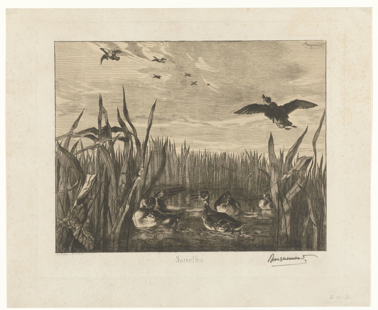 Landscape with Teals in the Water Among Reeds by Felix Bracquemond