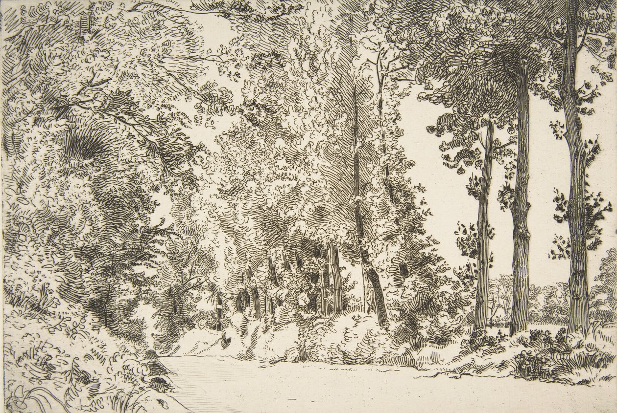 Rue des Bruyères, à Sèvres by Felix Bracquemond