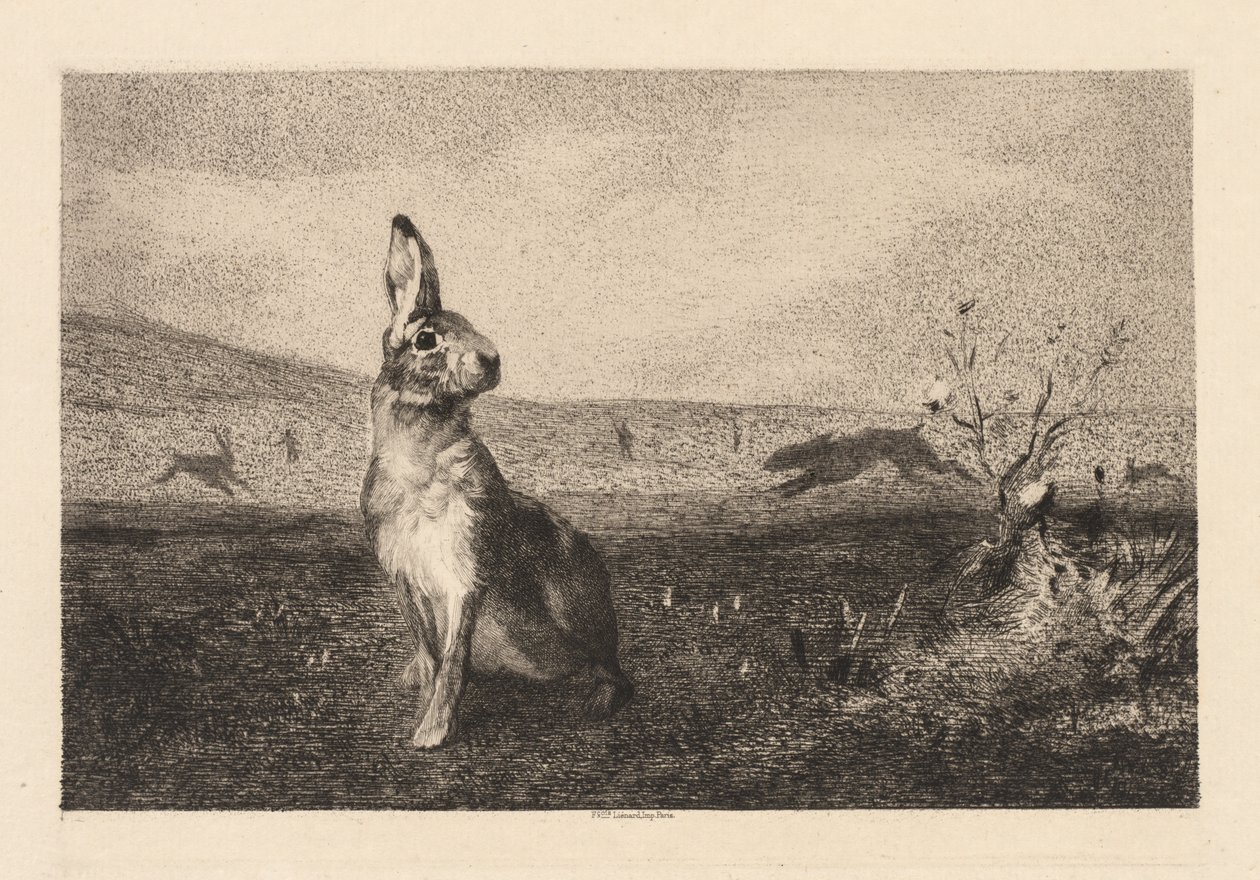 The Hare by Felix Bracquemond