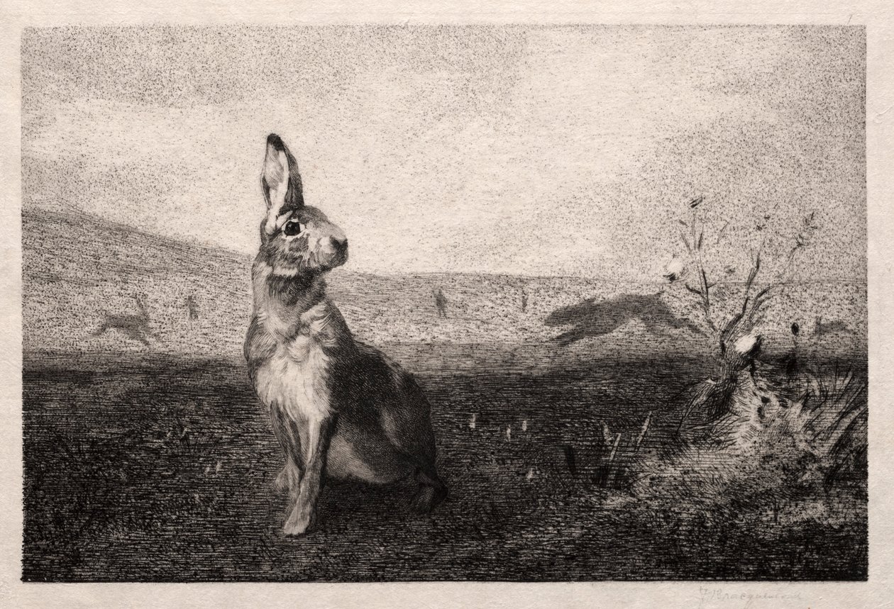 The Hare (after A. de Balleroy) by Felix Bracquemond