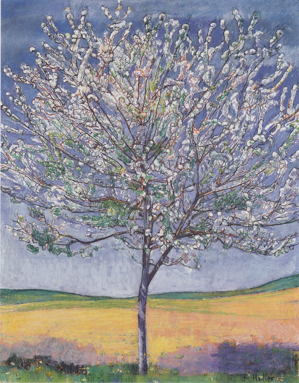 Blooming Cherry Tree by Ferdinand Hodler