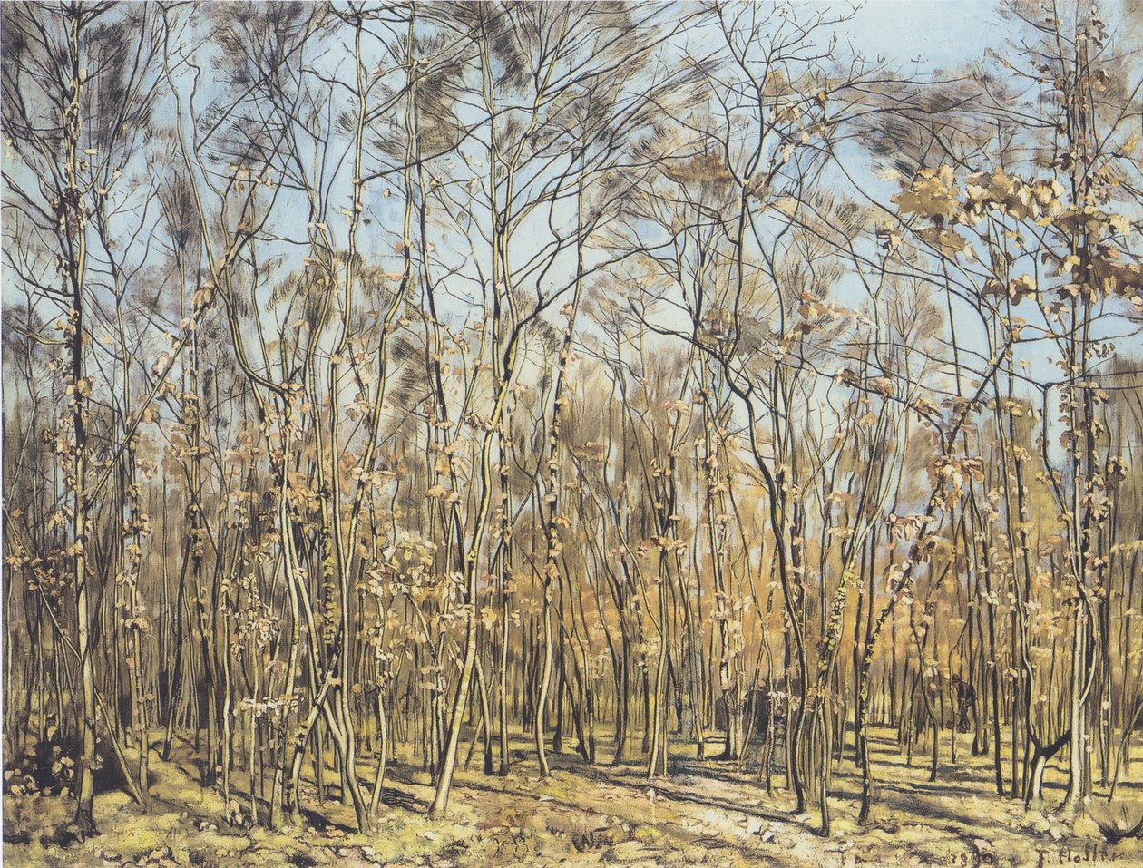 The Beech Forest by Ferdinand Hodler