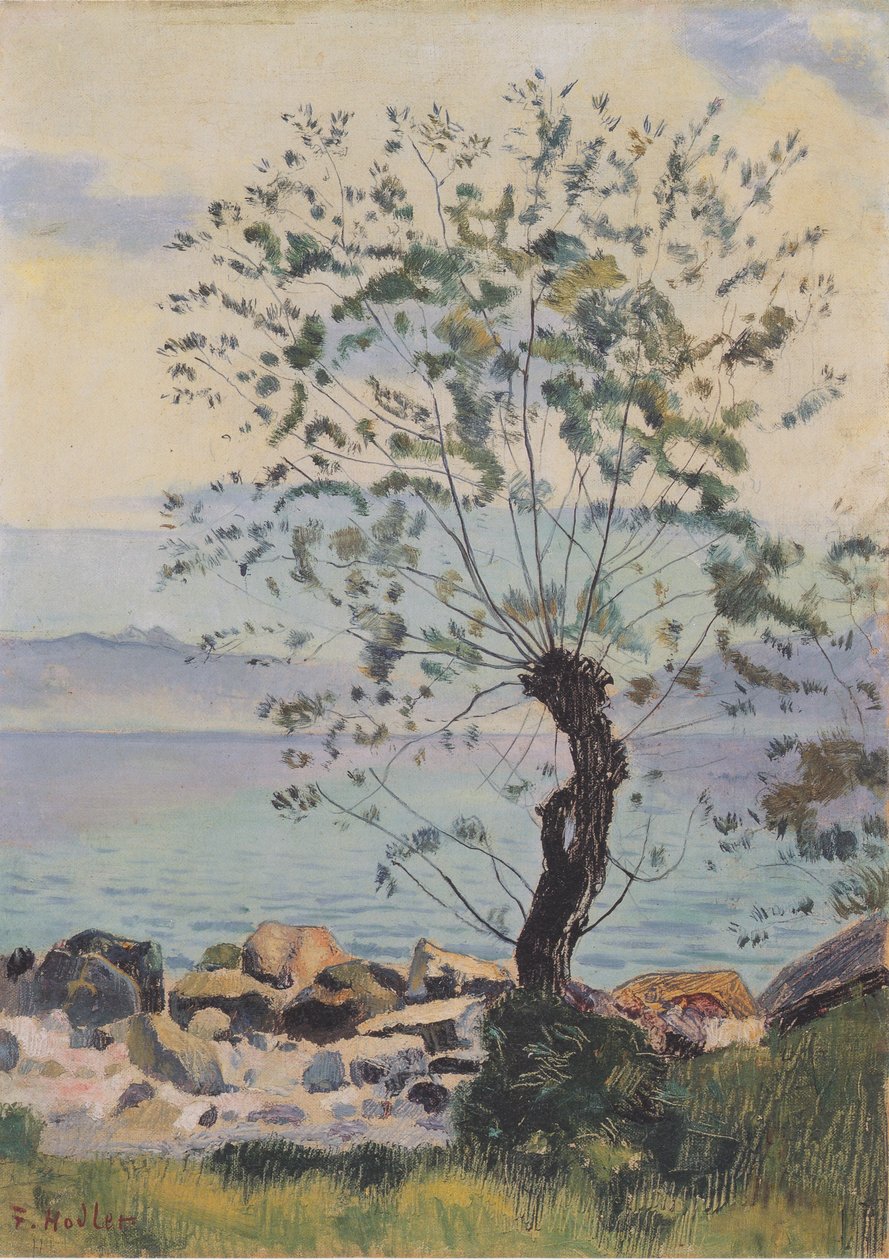 Willow Tree by the Lake by Ferdinand Hodler