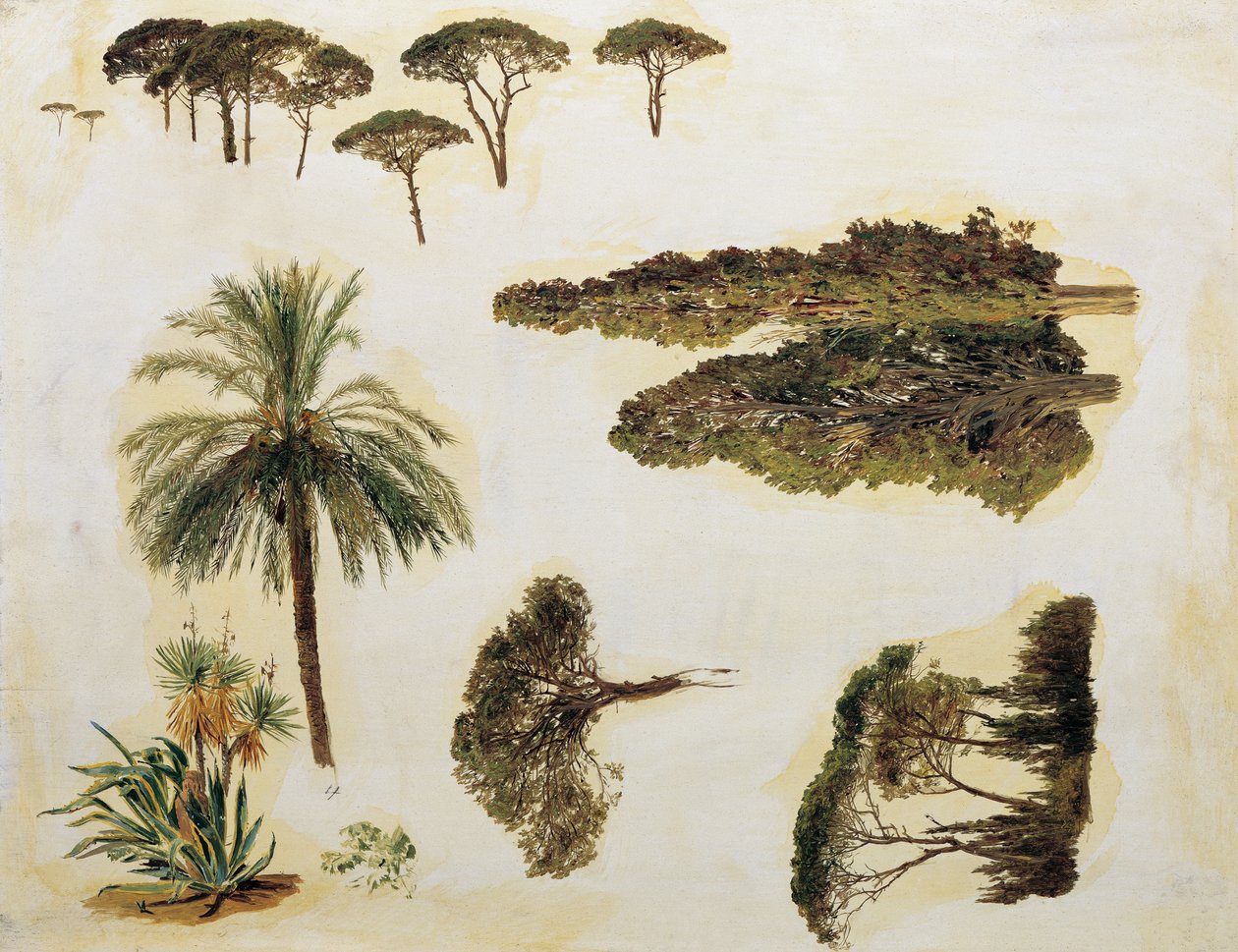 Tree Studies from Rome by Ferdinand Georg Waldmuller