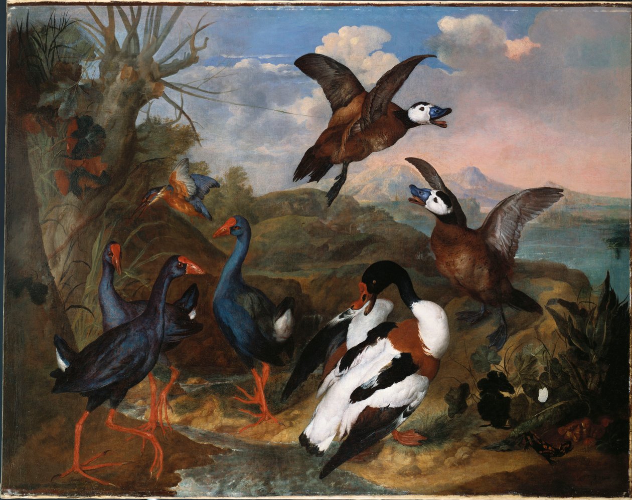 Shell Ducks and other Fowl in a Landscape by Ferdinand Phillip de Hamilton