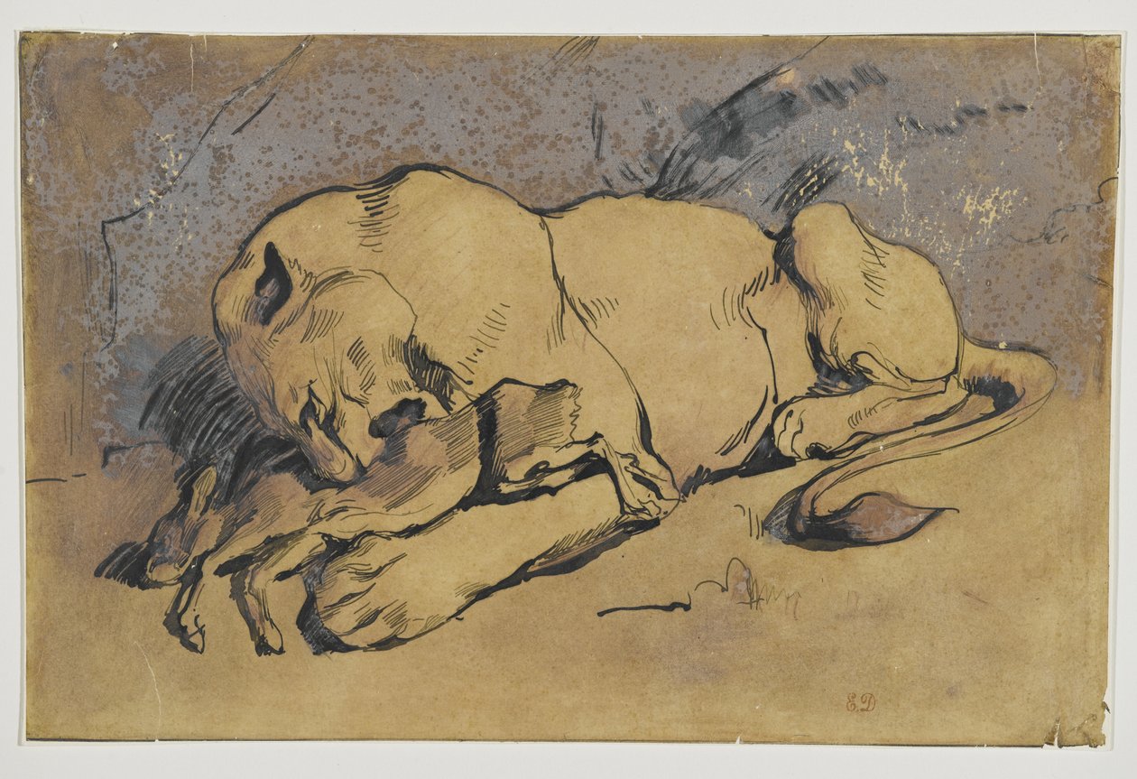 Lioness devouring a Rabbit by Ferdinand Victor Eugene Delacroix
