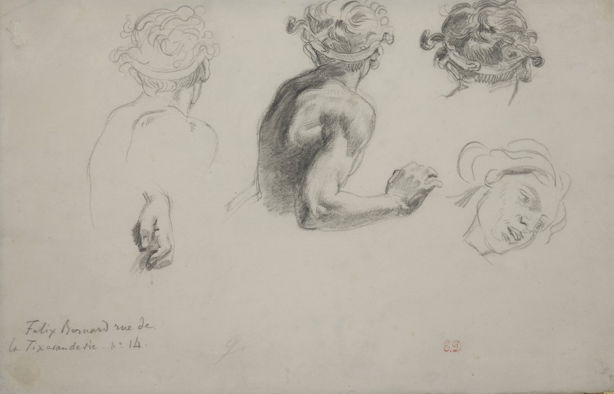 Sheet of Studies for the 