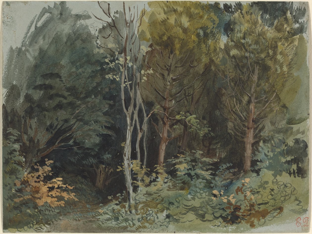 The Edge of a Wood at Nohant by Ferdinand Victor Eugene Delacroix