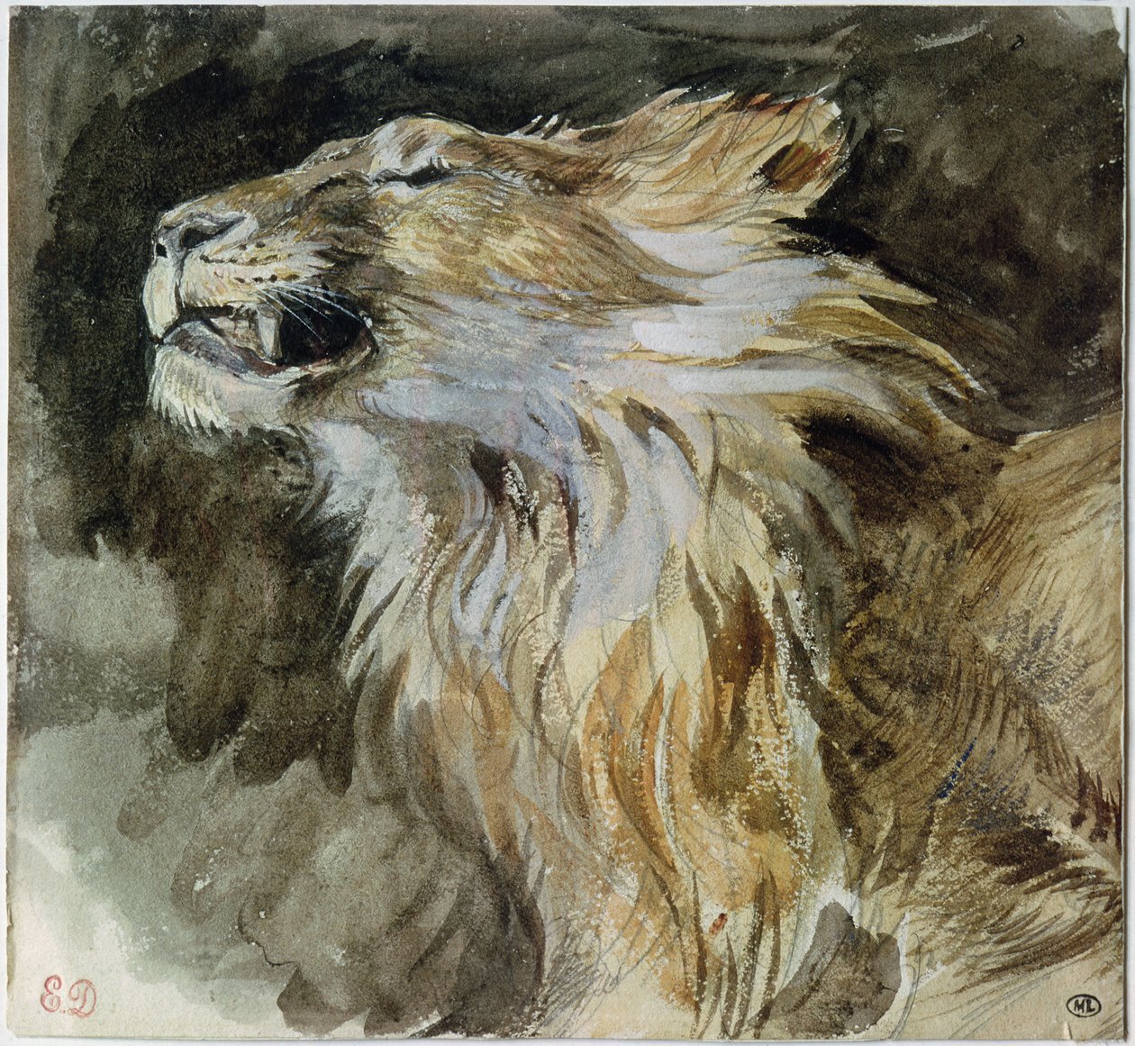 The Head of a Lion by Ferdinand Victor Eugene Delacroix