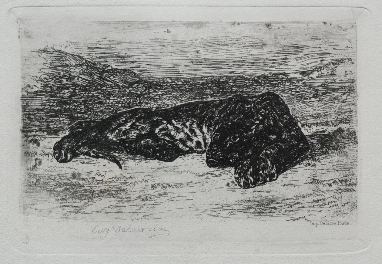 Tiger Lying in the Desert by Ferdinand Victor Eugene Delacroix
