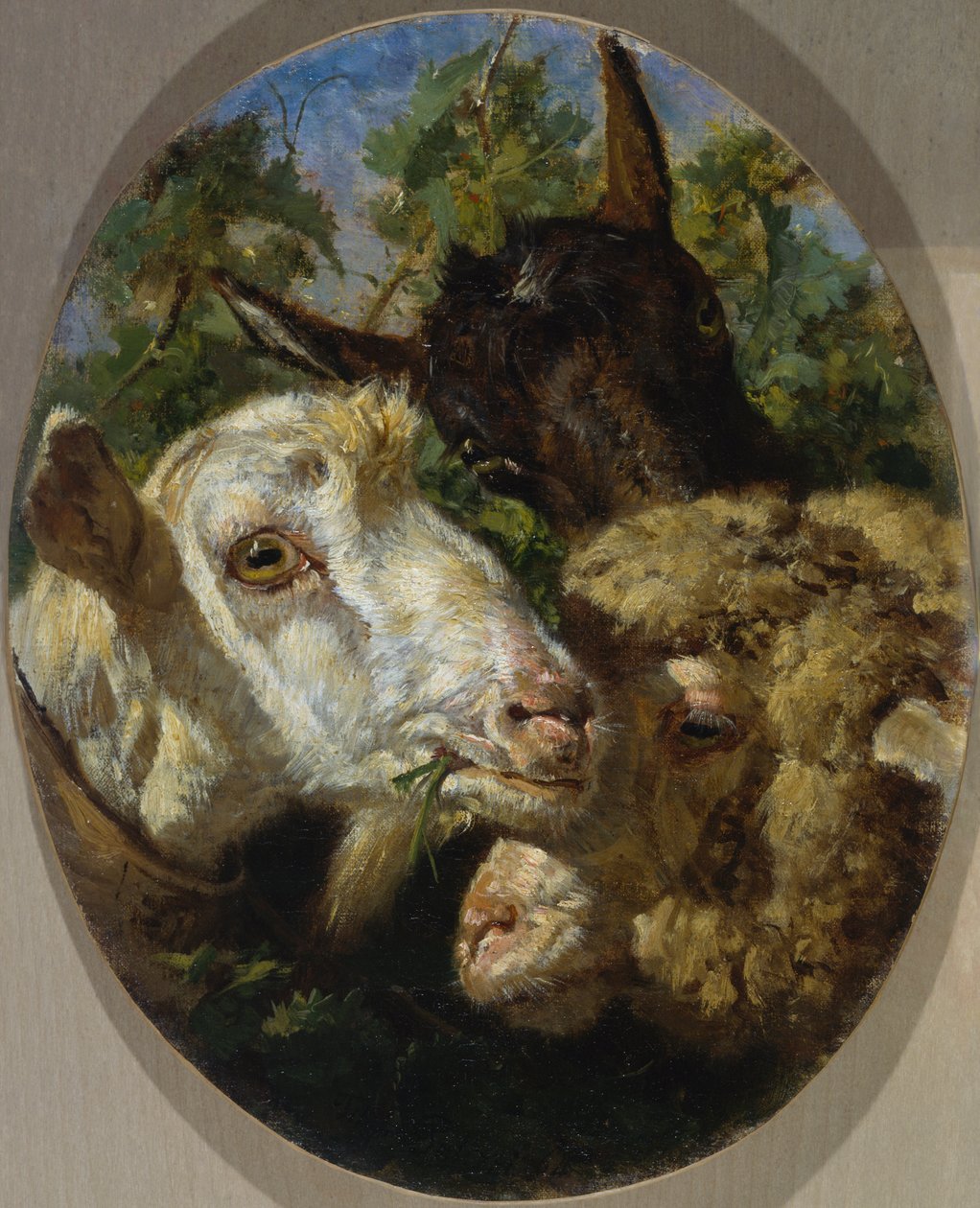 Heads of animals by Filippo Palizzi