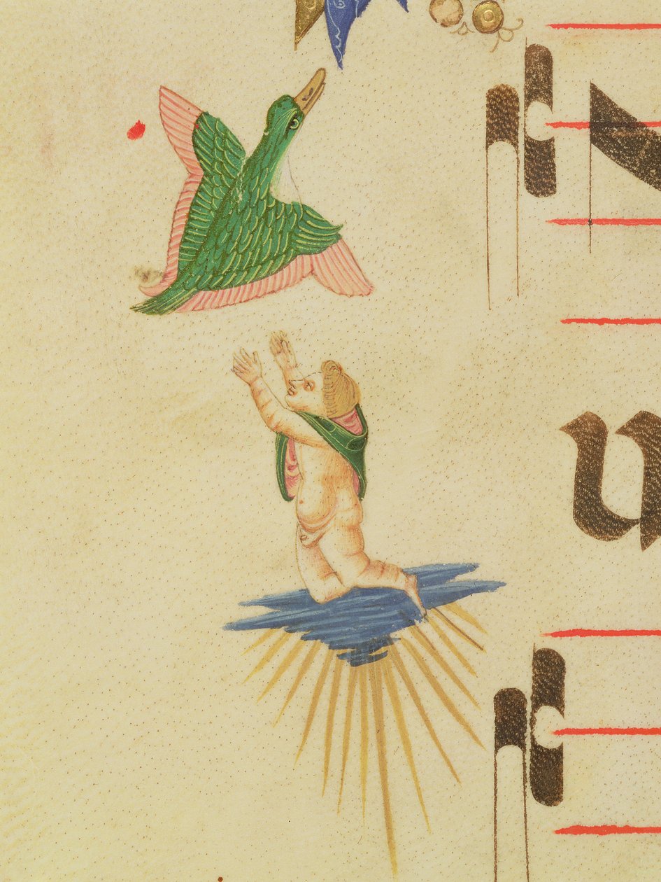 A Cloaked Cherub Trying to Catch a Flying Bird (detail) by Filippo di Matteo Torelli
