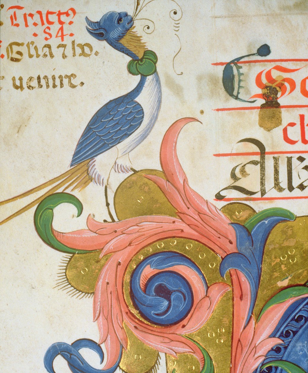 Fantastical Bird with Human Head (detail) by Filippo di Matteo Torelli