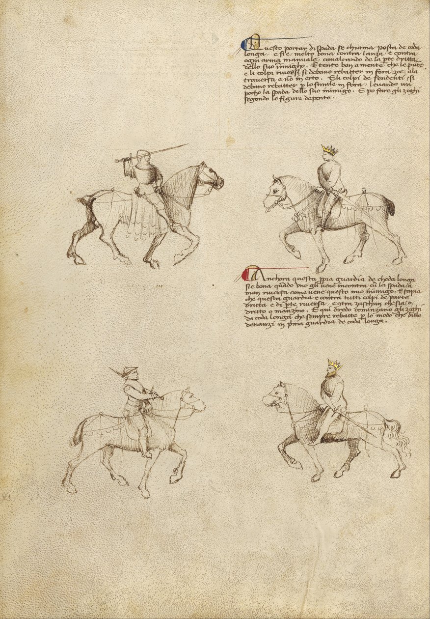Fiore dei Liberi by Fiore dei Liberi