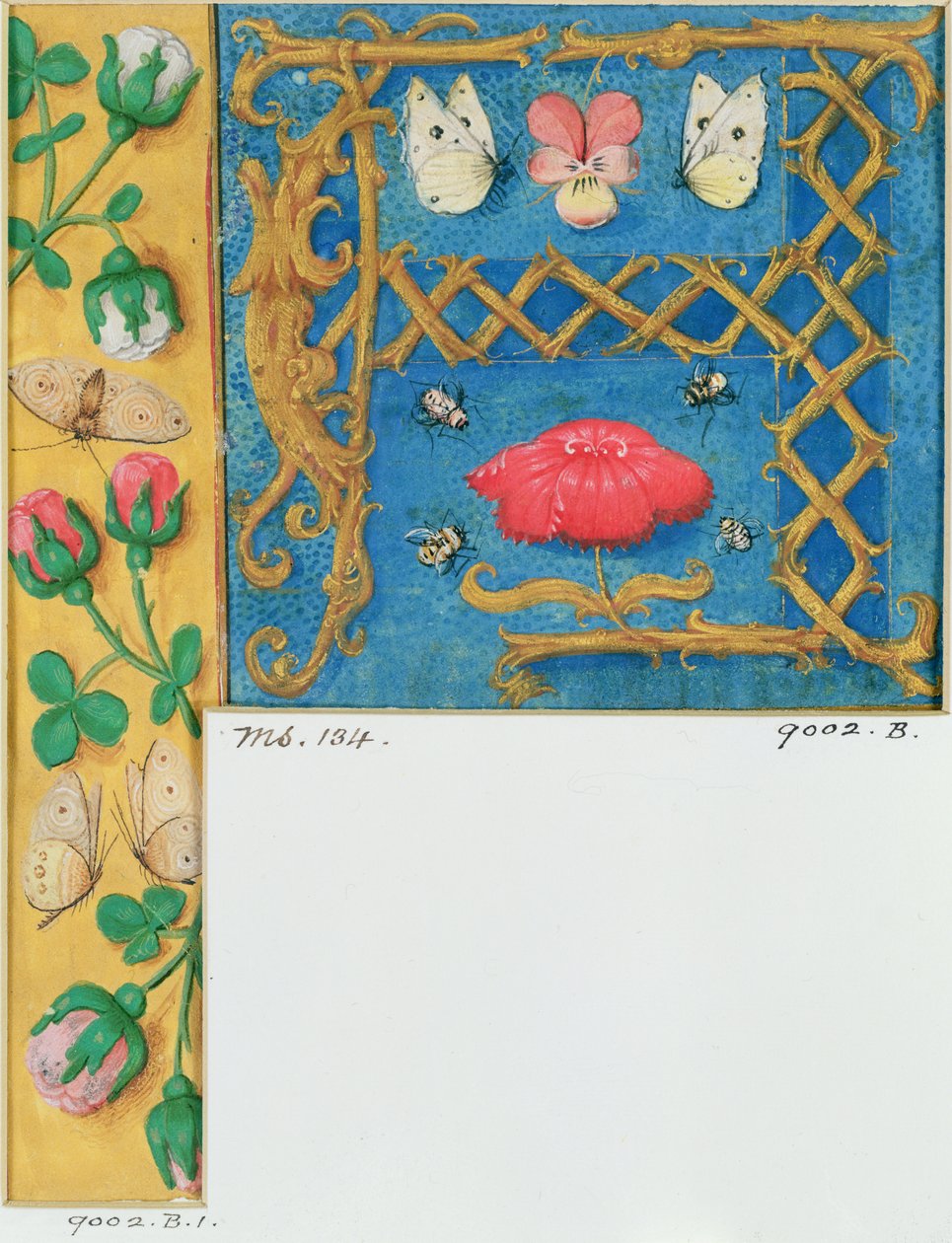 Illuminated letter `A and side border of flowers, from a Book of Hours by Flemish School