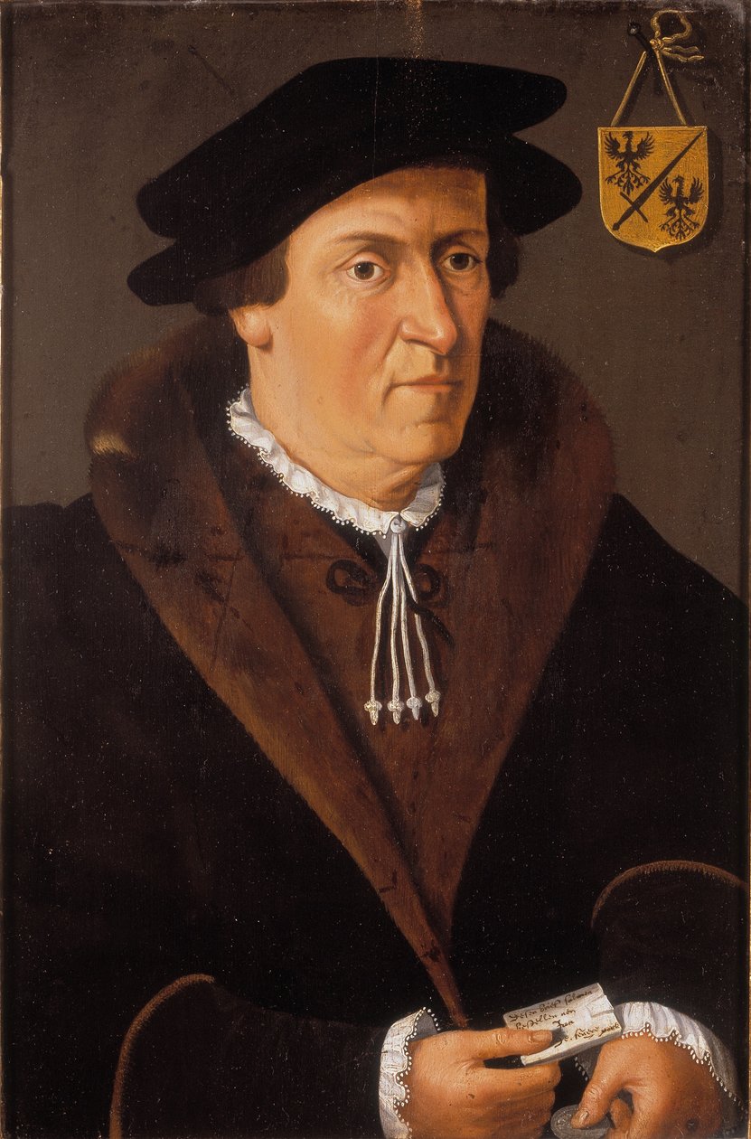 Portrait of Jan de Fevere, c.1540-59 by Flemish School