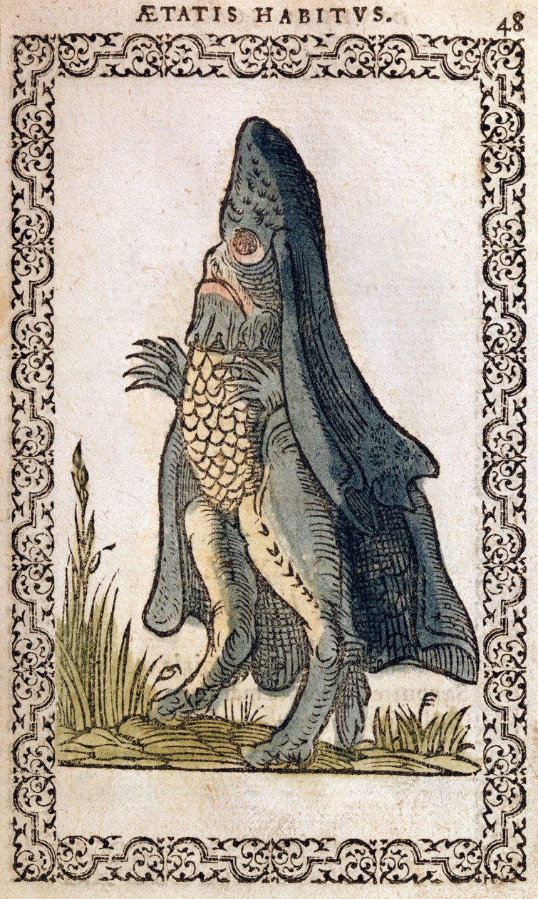 The Sea Bishop or sea monster, illustration from Omnium fere gentium nostraeque aetatis Nationum Habitus et Effigies by Jean Sluperji, Antwerp, 1572 by Flemish School