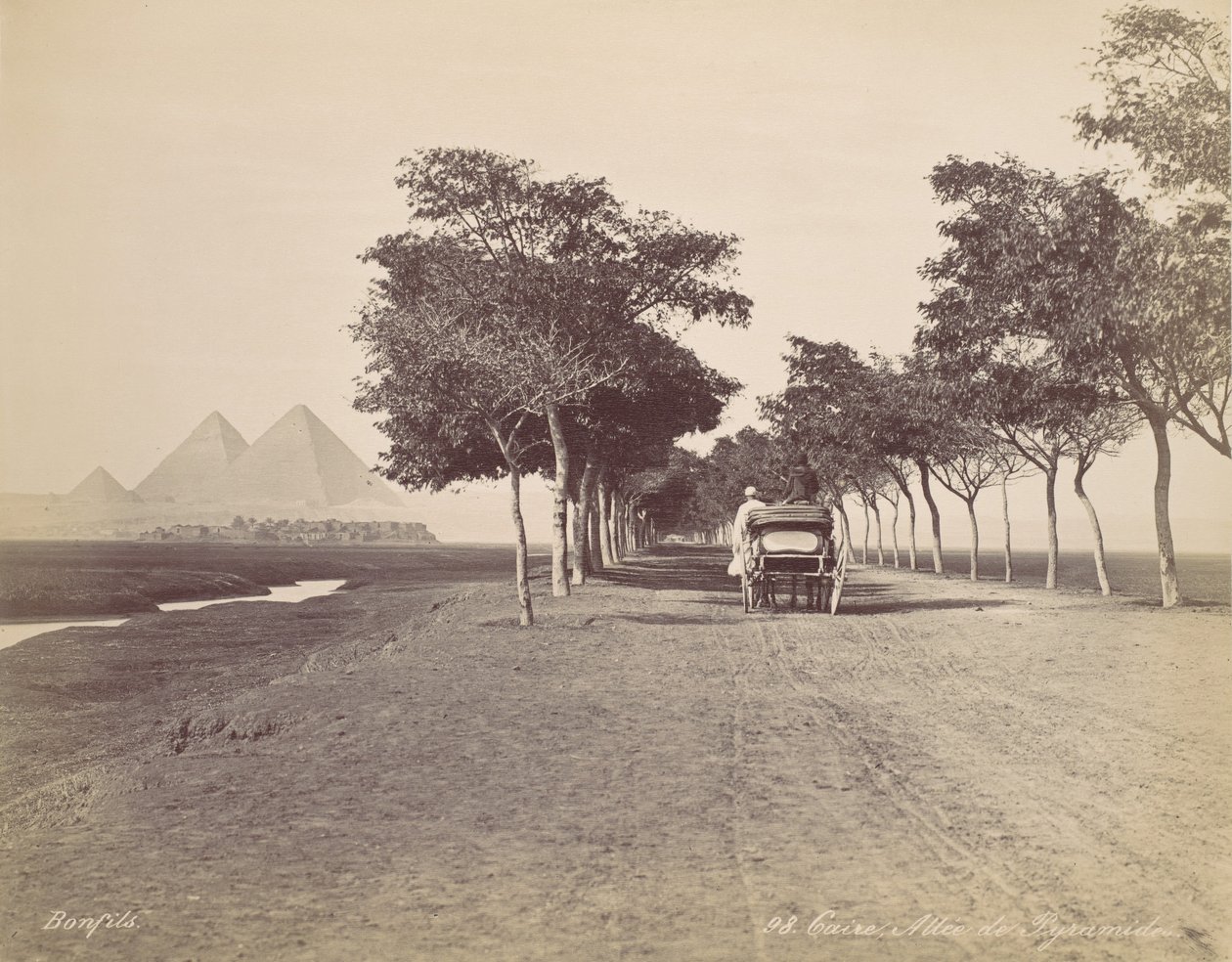 Caire. Allée de Pyramides by Félix Bonfils