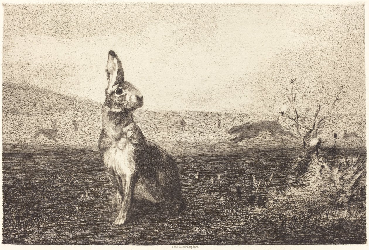 The Hare by Félix Bracquemond after Albert de Balleroy