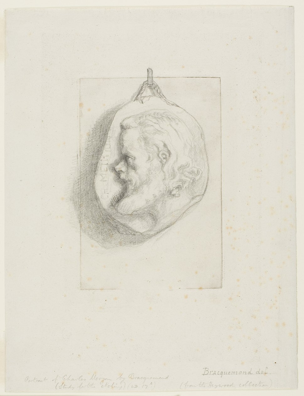 Profile Portrait of Charles Meryon by Félix Henri Bracquemond