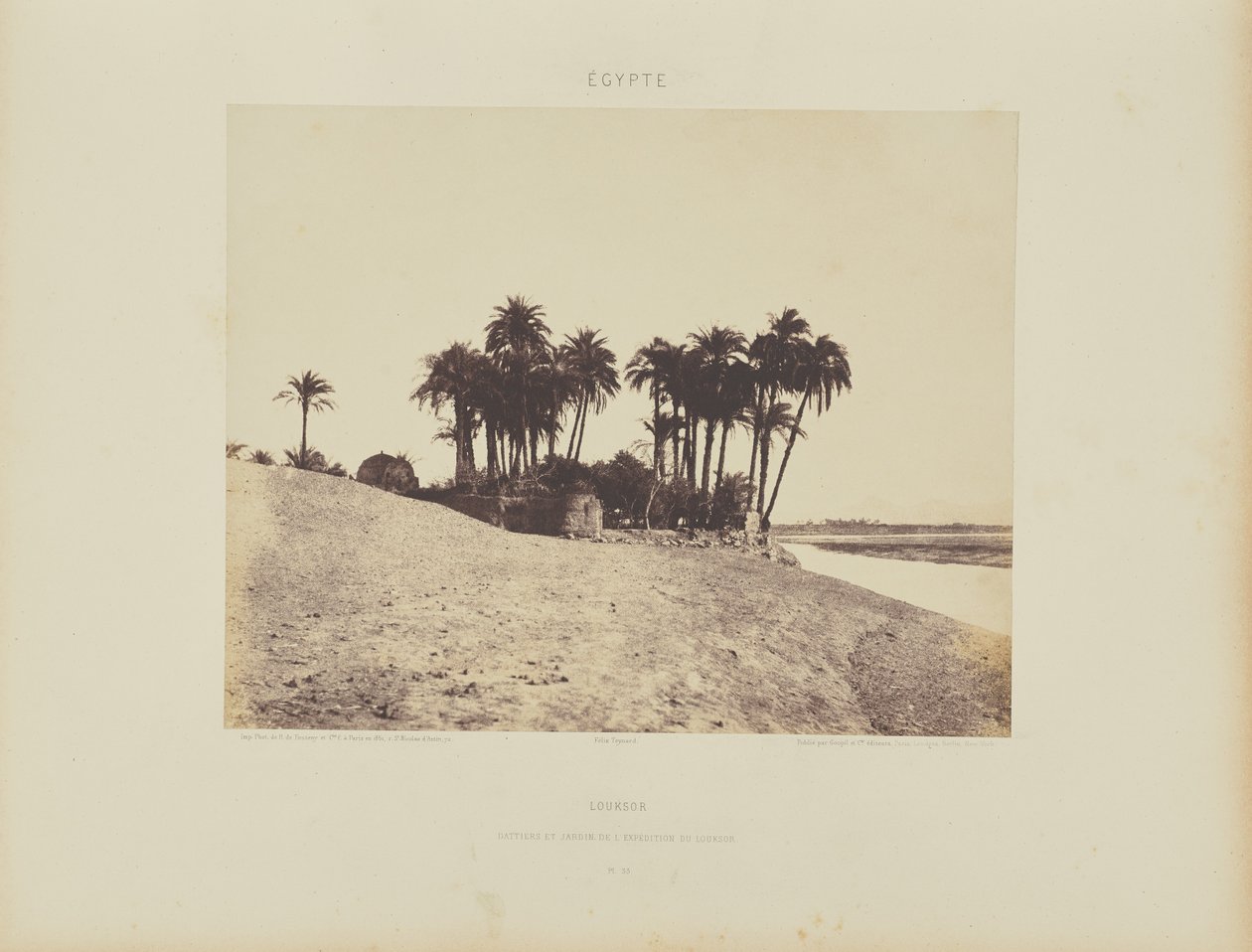 Luxor. Date Palms and Garden of the Luxor Expedition by Félix Teynard