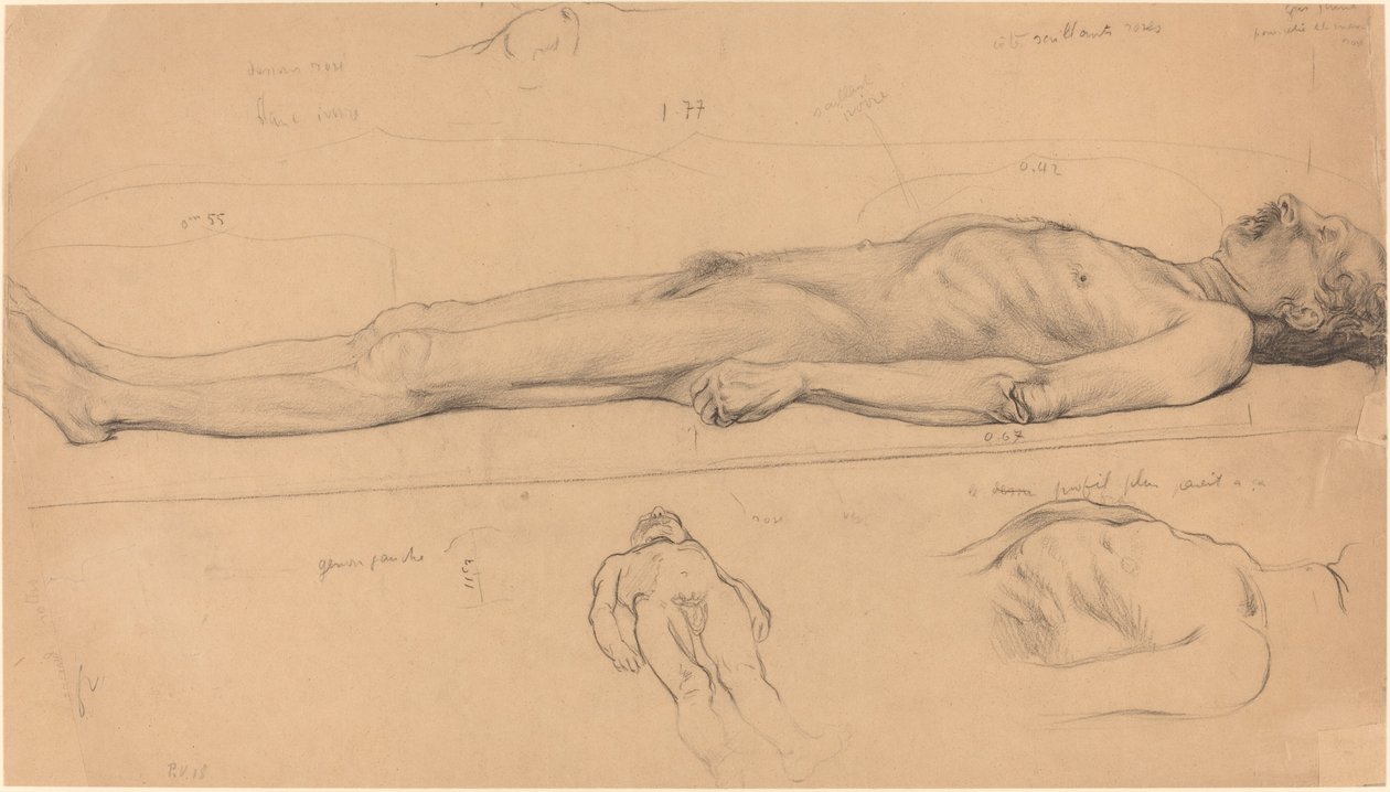 The Corpse Study for The Dead Christ, 1893 by Félix Vallotton