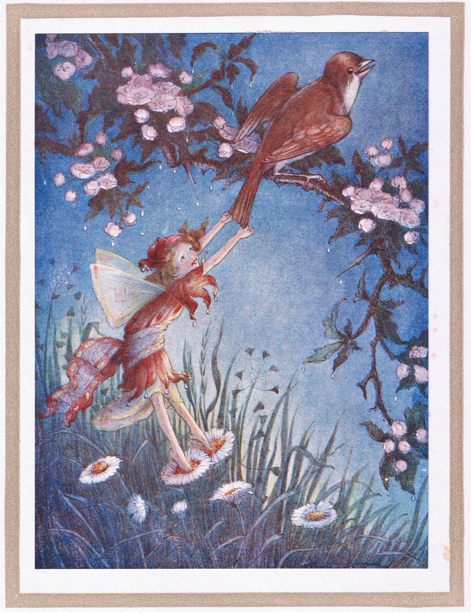 She pulled the tail of the Nightingale by Flora White