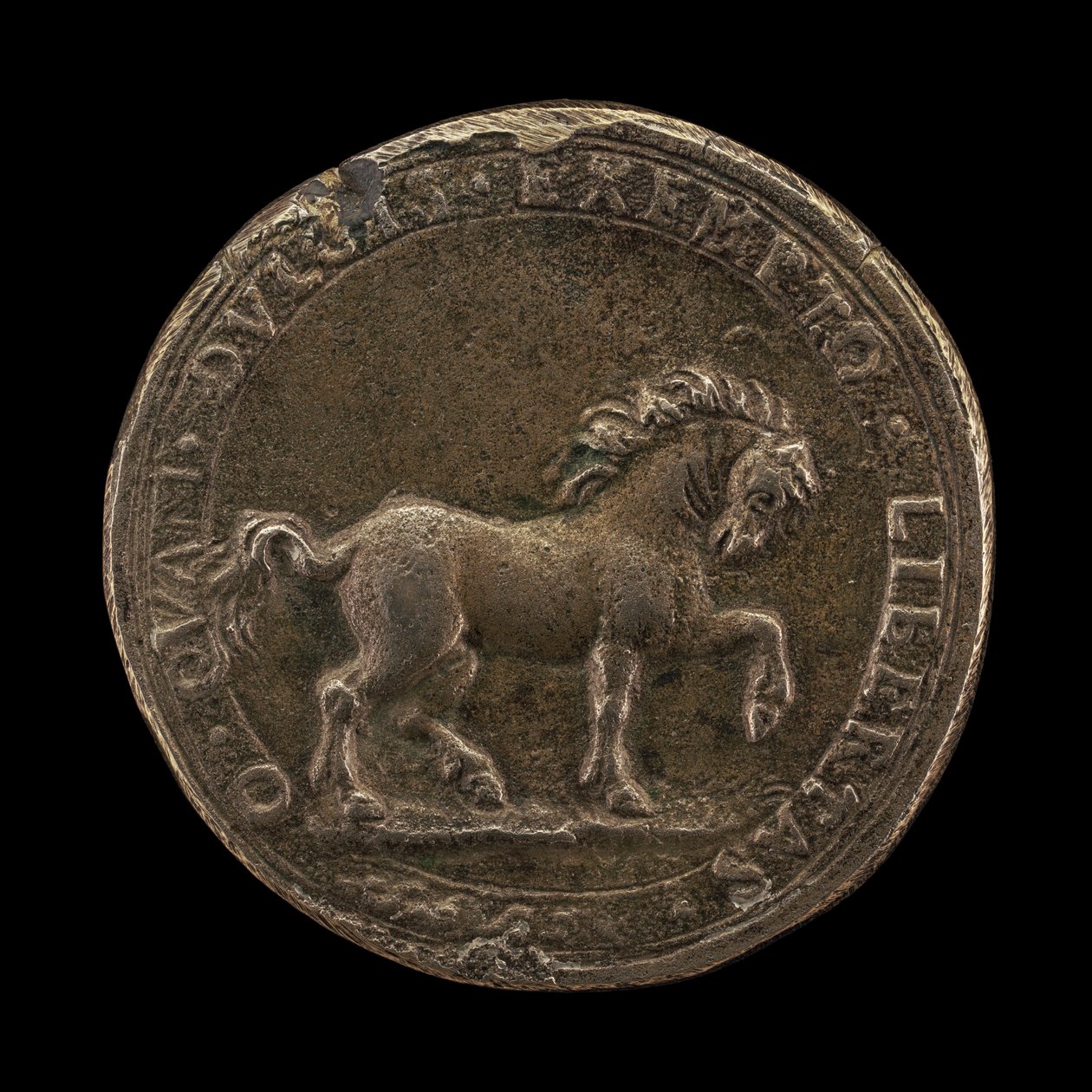 Horse Pawing the Earth, c.1545 (reverse) by Florentine School
