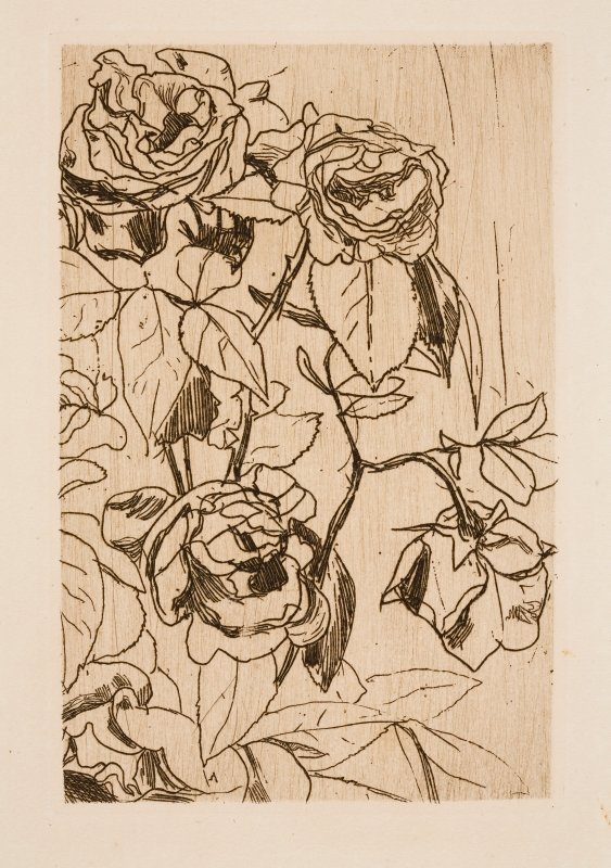 Study of Roses by Floris Verster