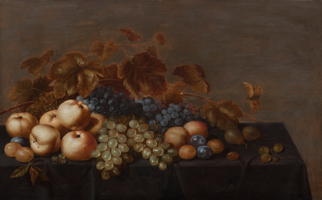 Still Life of Fruit on a Table Draped with a Dark Cloth: Plums, Apples, Bunches of Black and White Grapes and Pears by Floris Gerritsz van Schooten