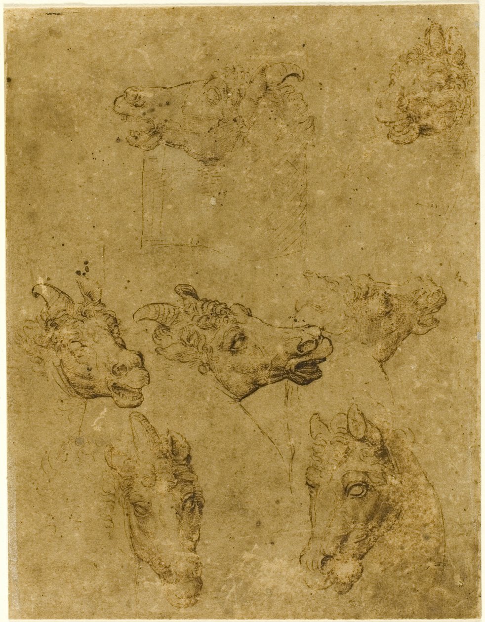 Heads of Horses and Unicorns by Follower of Leonardo da Vinci