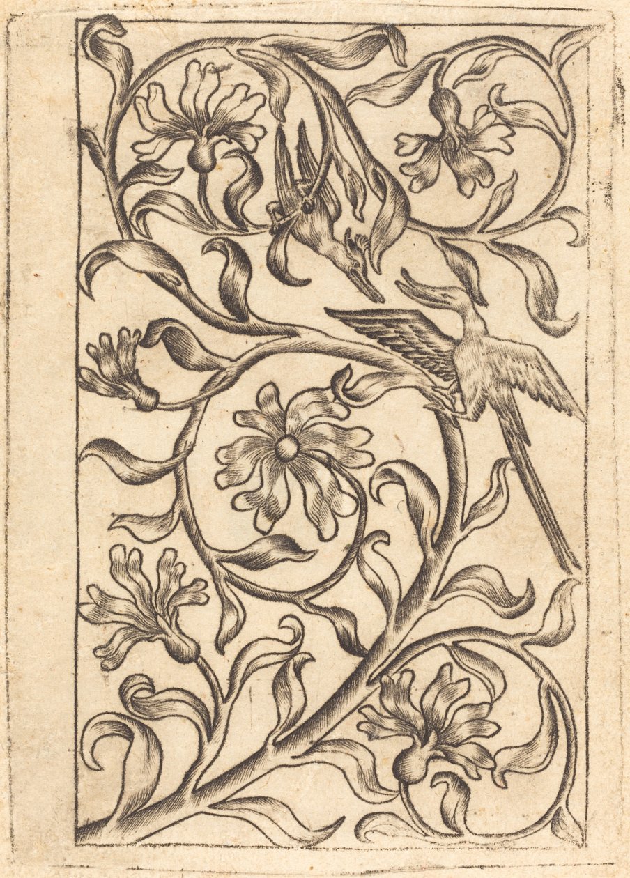 Vine Ornament with Two Birds by Follower of Master of the Playing Cards