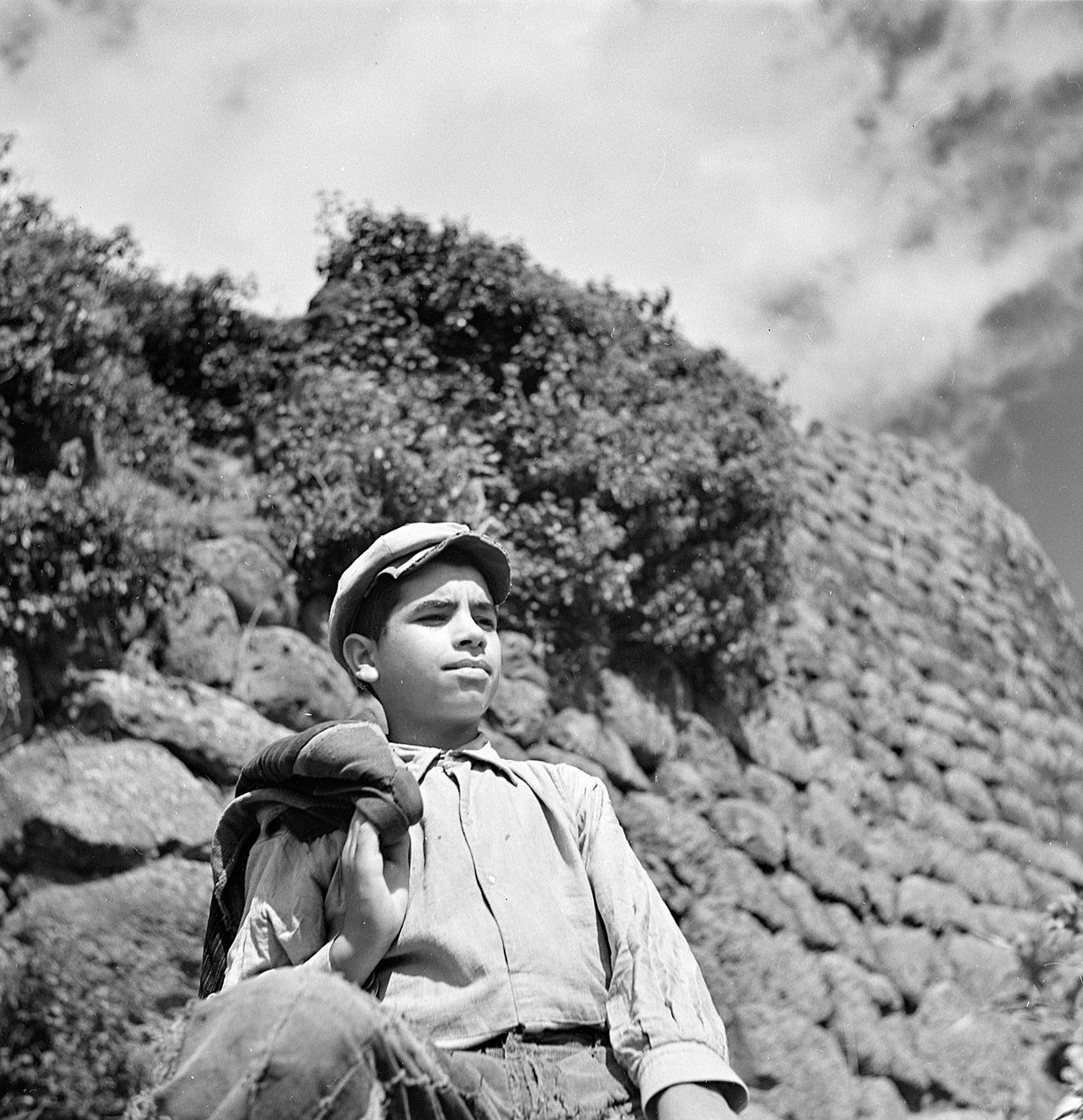 Young Sardinian Shepherd by Fosco Maraini