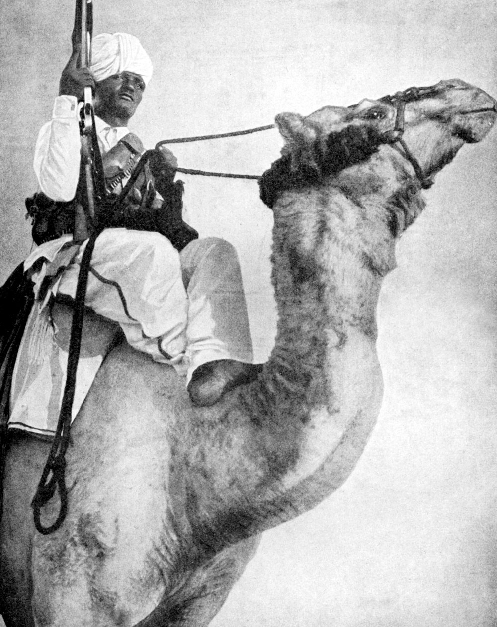 Desert Warrior of Africa by Fox Photos