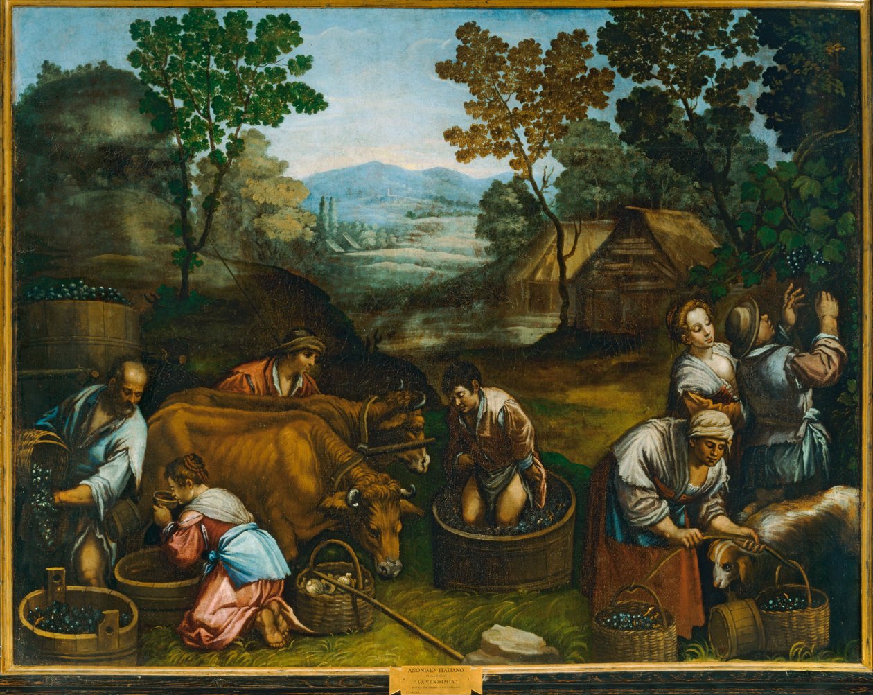 Grape Harvest by Francesco (1549-92) Bassano