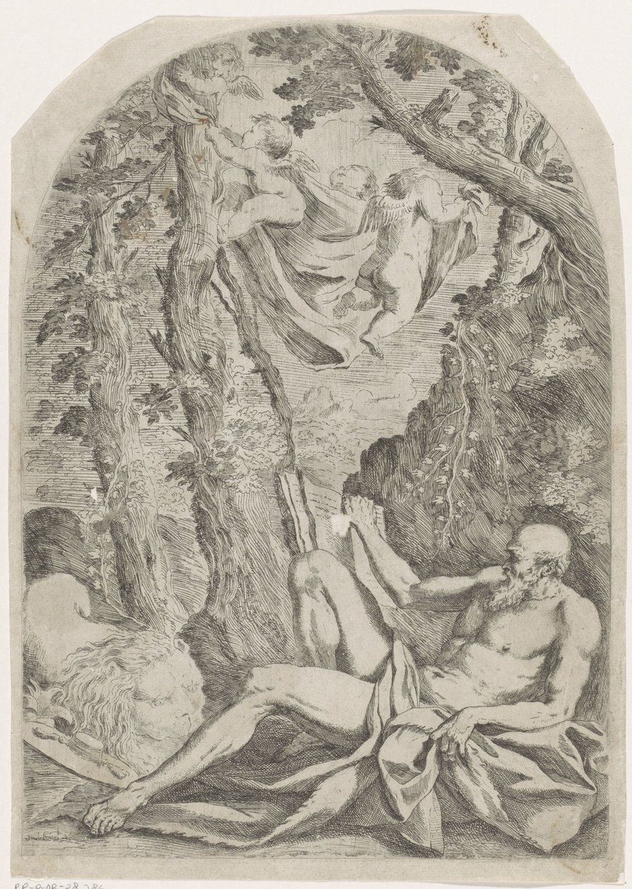 Saint Jerome by Francesco Amato