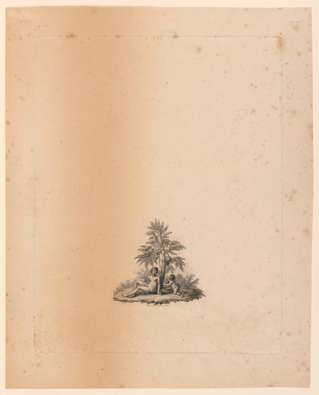 Vignette for 