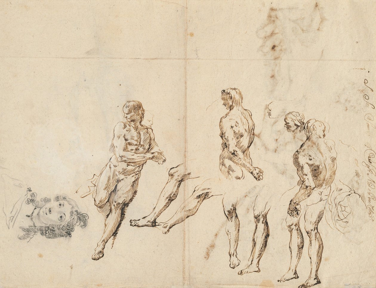 Head of a Woman and Studies of a Male Nude by Francesco Fontebasso