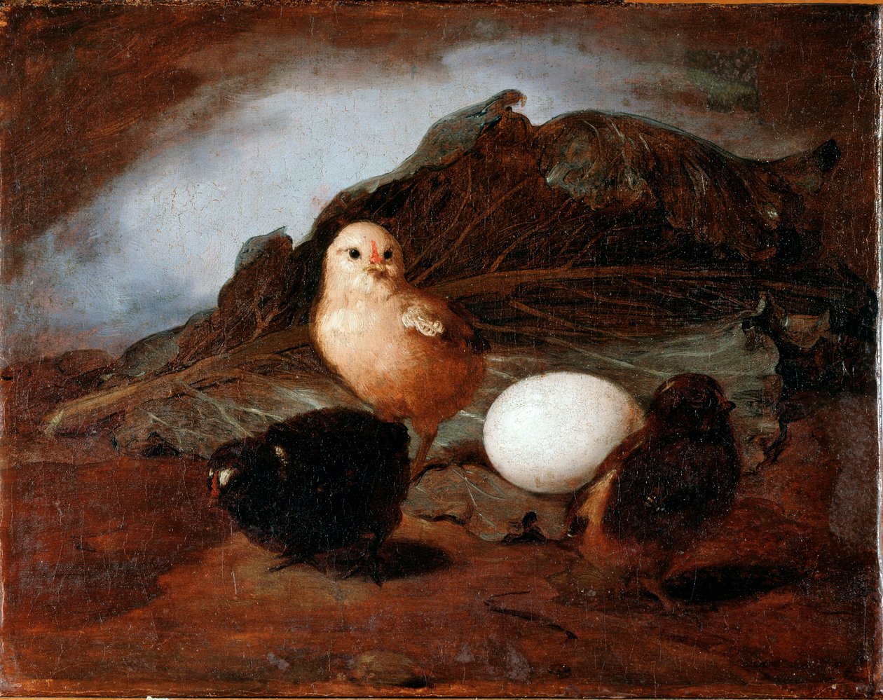Chicks by Francesco Inganni