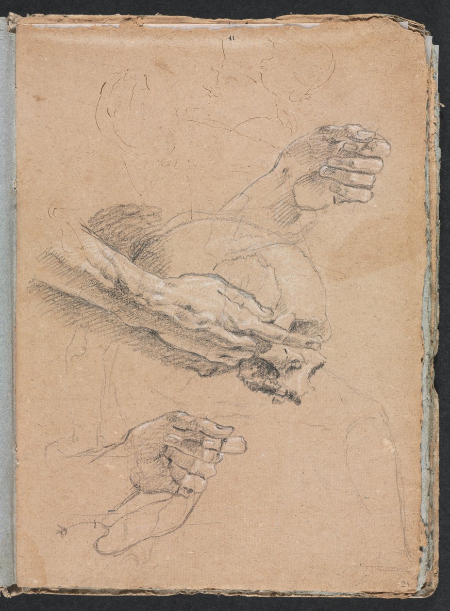 Verona Sketchbook: Study of Hands and Skull (detail) by Francesco Lorenzi