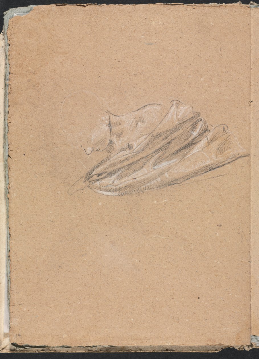 Verona Sketchbook: Head and Shoulder with Drapery Page 14 by Francesco Lorenzi