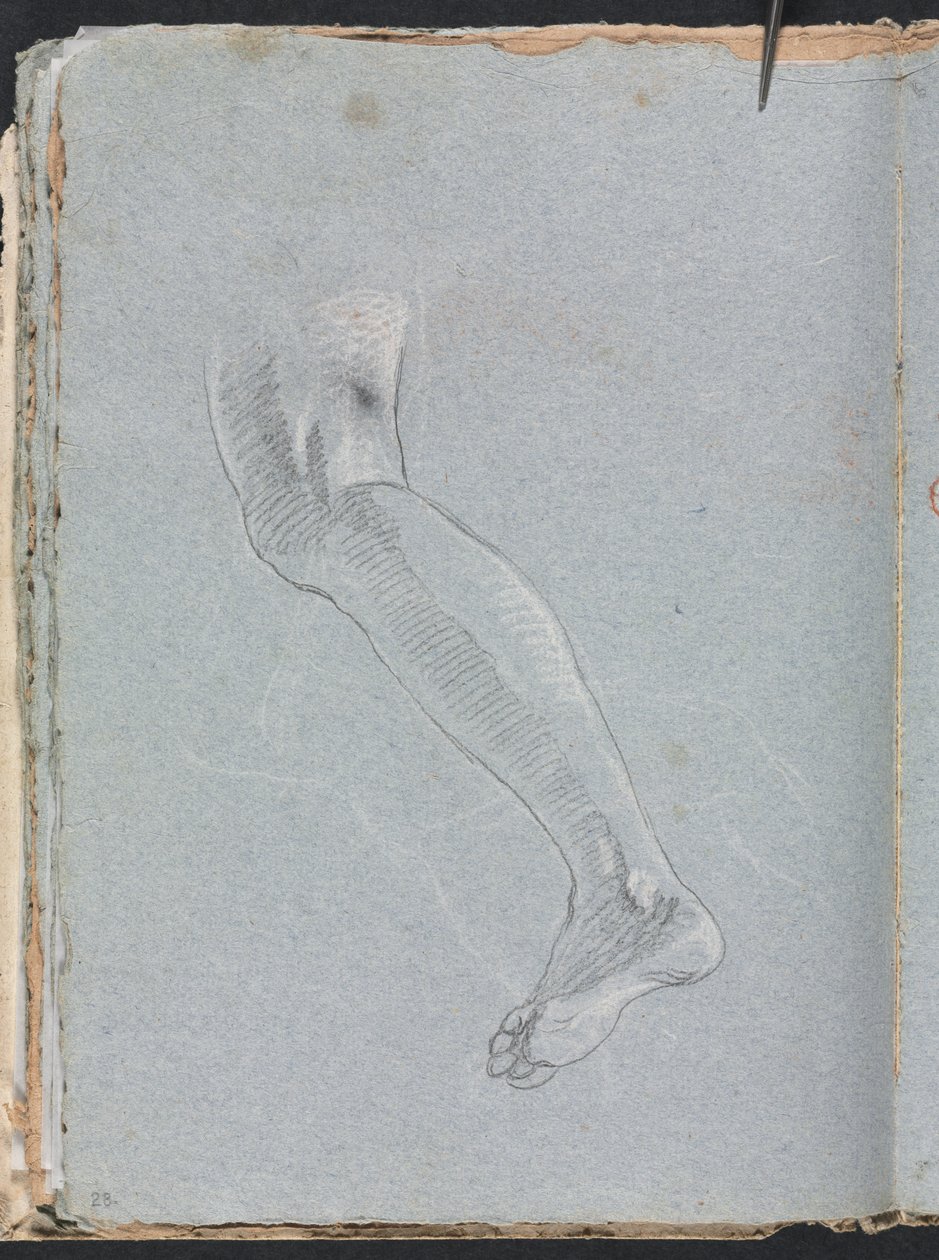 Verona Sketchbook: Left leg (detail) by Francesco Lorenzi