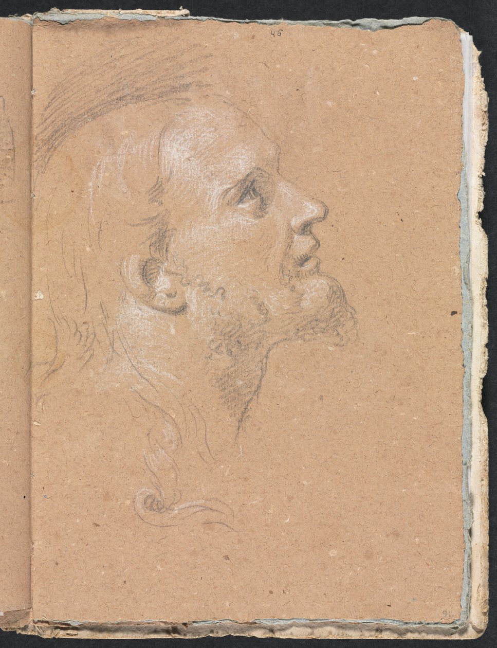 Verona Sketchbook: Male head in profile (page 91) by Francesco Lorenzi
