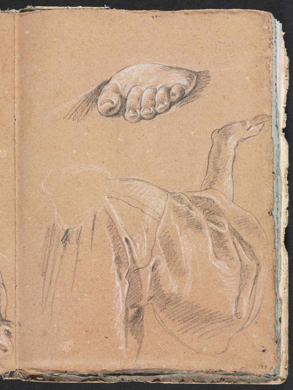 Verona Sketchbook: Study of a left foot and drapery study with right arm (page 79) by Francesco Lorenzi