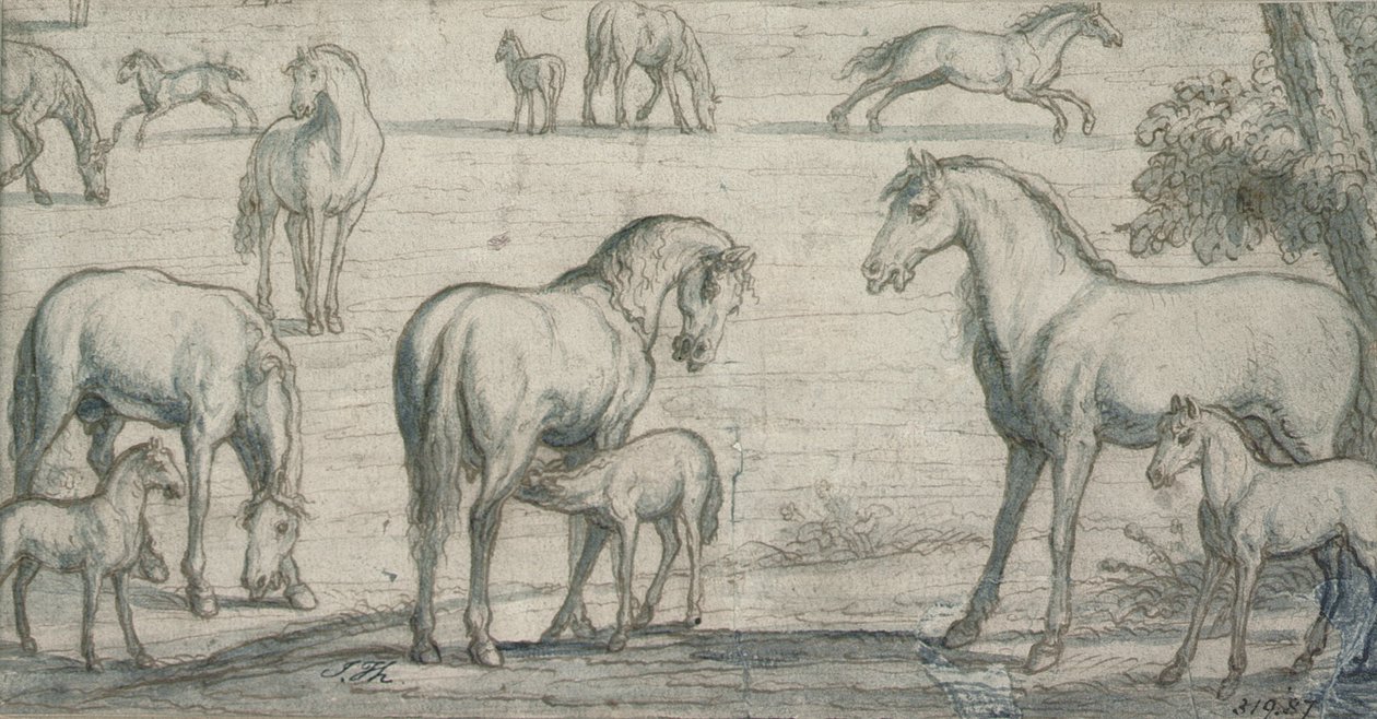 Mares and Foals by Francis Barlow