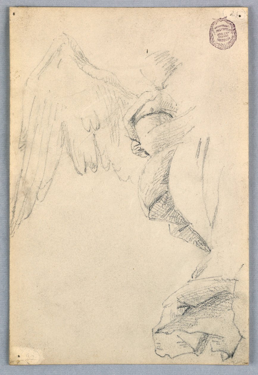 Sketch with Wings and Drapery by Francis Augustus Lathrop
