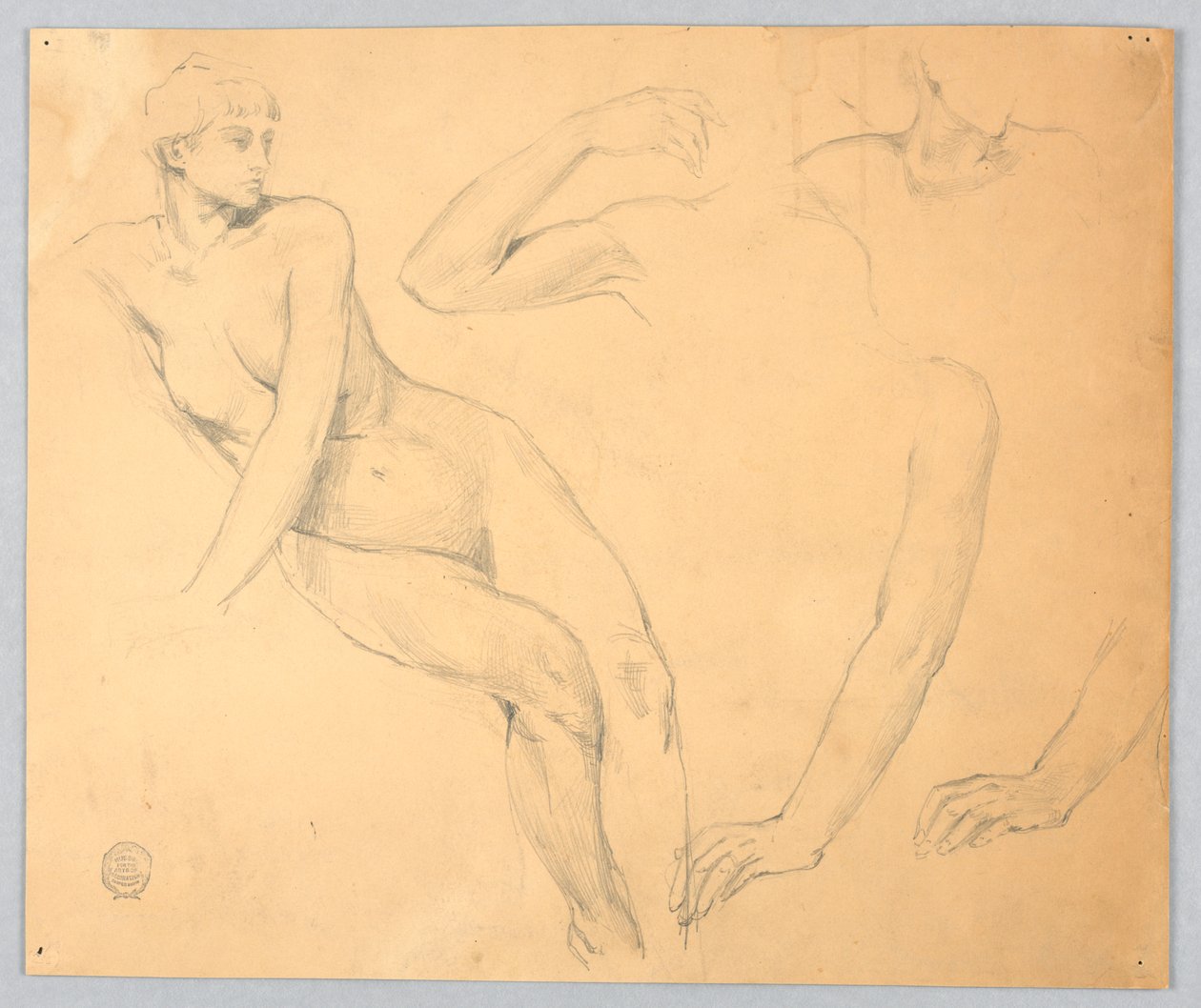 Sketches of a Female Nude and Arms by Francis Augustus Lathrop